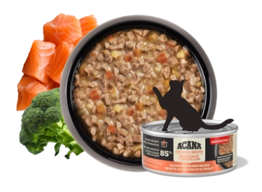 aca-cat-wet-pate-image