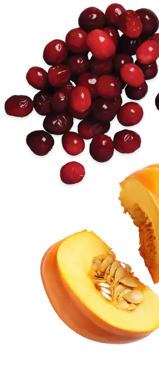 Acana Fruits