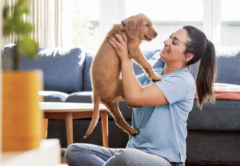 Acana Puppy can-aca-puppy-training-banner