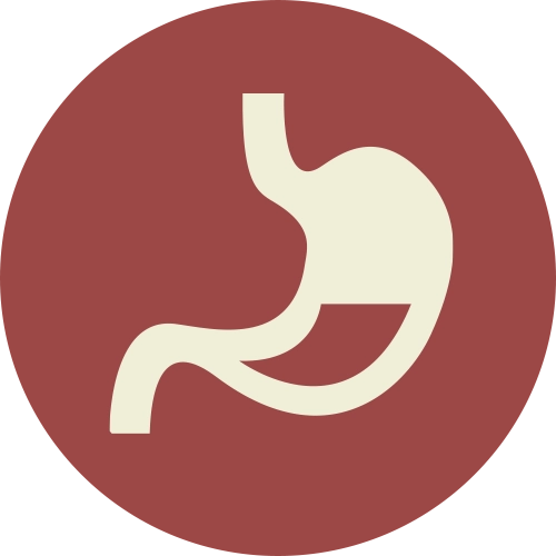 aca-hg-icons-largebreed-digestion