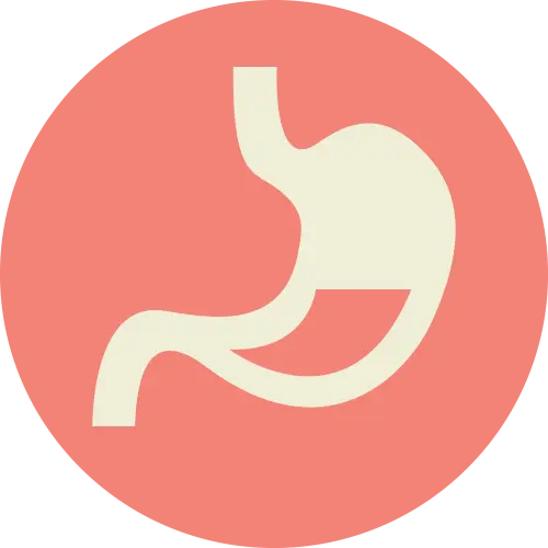 adult-icon-digestion